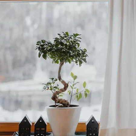 Gaestehaus Kolp 아파트