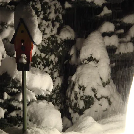 Daire Gaestehaus Kolp *