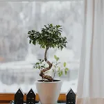 Gaestehaus Kolp Apartamento